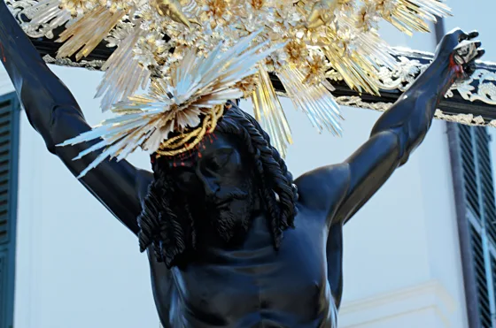 Raduno 2014, fotografia