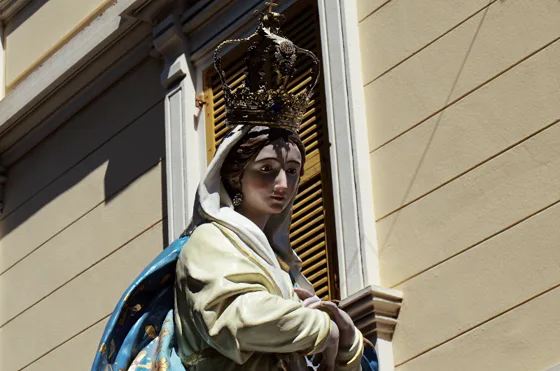Raduno 2014, fotografia