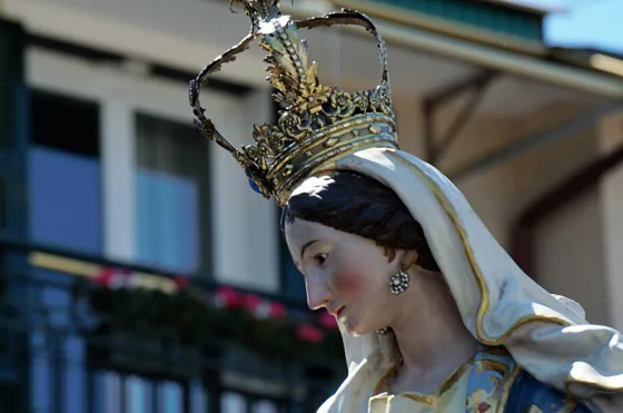 Raduno 2014, fotografia
