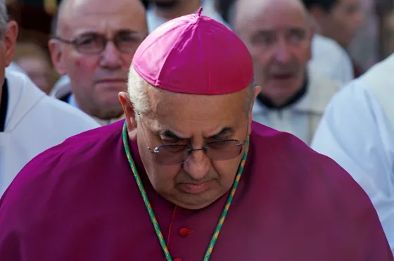 Raduno 2014, fotografia