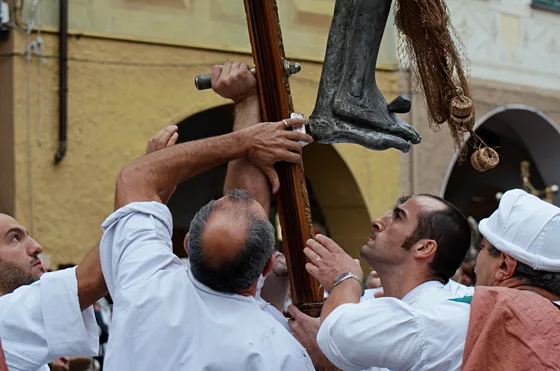 Raduno 2015, fotografia