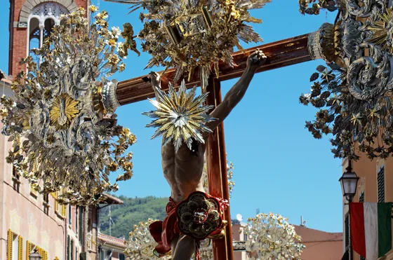 Raduno 2014, fotografia