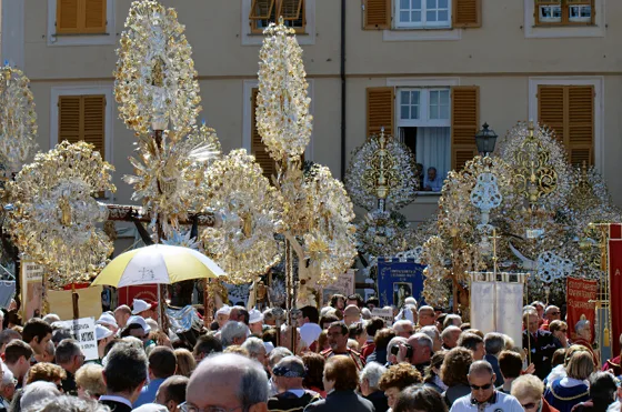 Raduno 2014, fotografia