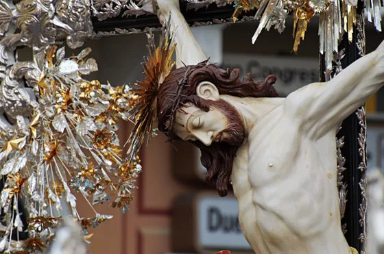 Raduno 2014, fotografia