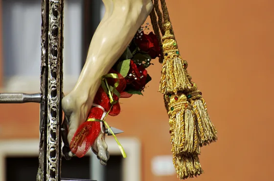 Raduno 2014, fotografia