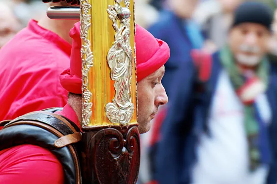 Raduno 2015, fotografia