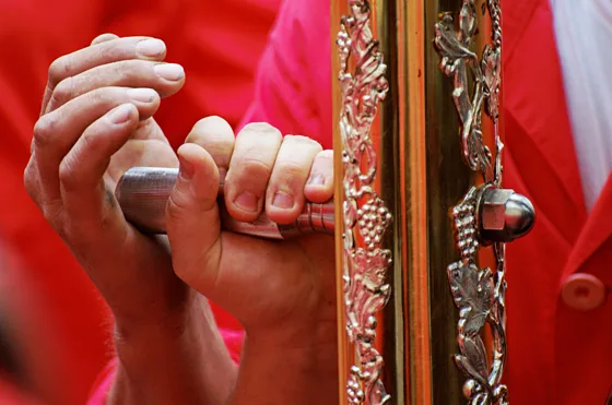 Raduno 2015, fotografia