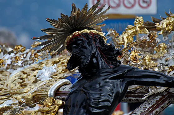 Raduno 2014, fotografia