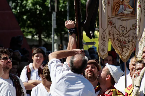 Raduno 2014, fotografia